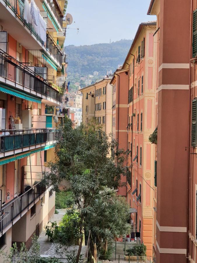 Palazzo Degli Armatori Appartamento Storico Camogli Eksteriør billede